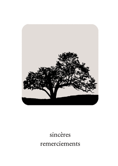 Sinc&egrave;res remerciements